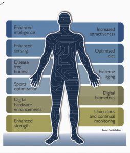 EvolvingHumanb2-254x300
